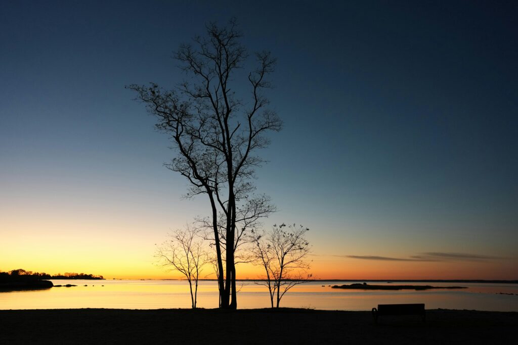 Free stock photo of autumn, connecticut, cove island park