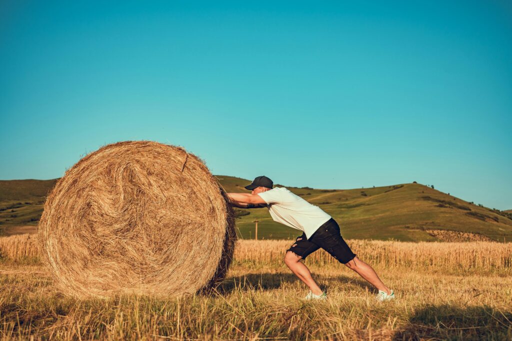 A man energetically pushing a large hay bale in a sunny countryside field.